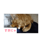 Neko！！！！！！！！！（個別スタンプ：14）