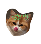なんだって？（個別スタンプ：8）