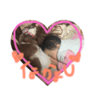 あこちゃんすたんぷりてぃ（個別スタンプ：2）