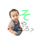 はる坊の生活スタンプ（個別スタンプ：13）