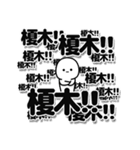 榎木さんデカ文字シンプル（個別スタンプ：37）