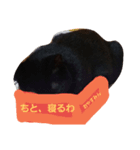 BlackcatJAPAN（個別スタンプ：7）