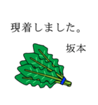 坂本のビジネスほうれん草（個別スタンプ：4）