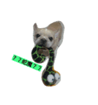 adog（個別スタンプ：8）