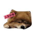 HaRu cute dog（個別スタンプ：2）