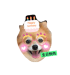 HaRu cute dog（個別スタンプ：8）