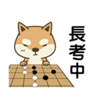 Shiba Inu (Shiba-Dog) Little Butt 10-GO（個別スタンプ：19）