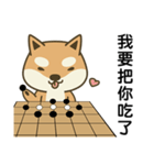 Shiba Inu (Shiba-Dog) Little Butt 10-GO（個別スタンプ：30）