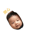 baby in my home 1（個別スタンプ：13）