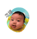 baby in my home 1（個別スタンプ：16）