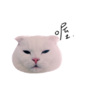woobie's（個別スタンプ：2）