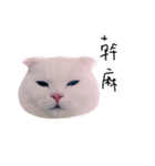 woobie's（個別スタンプ：3）