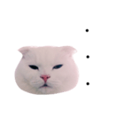 woobie's（個別スタンプ：5）