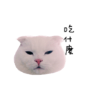 woobie's（個別スタンプ：7）