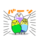 三羽のインコスタンプ（個別スタンプ：23）