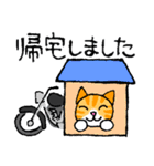 にゃんこライダー♪★キャンプ大好き★（個別スタンプ：37）