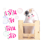 Chilli_N（個別スタンプ：4）