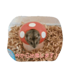 hamster salute（個別スタンプ：8）