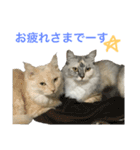 うちの双子さん2（個別スタンプ：18）
