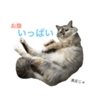 うちの双子さん2（個別スタンプ：19）