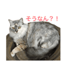 うちの双子さん2（個別スタンプ：23）