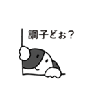 白黒の片パンダ犬（個別スタンプ：4）