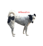 Dog gang...（個別スタンプ：4）