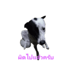 Dog gang...（個別スタンプ：7）