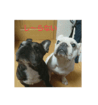 フレブル日常で使えるスタンプ（個別スタンプ：2）