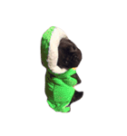 QQdogQQ（個別スタンプ：7）