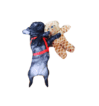 QQdogQQ（個別スタンプ：8）