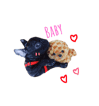 QQdogQQ（個別スタンプ：16）