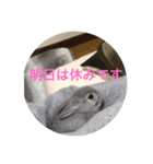 はいね（個別スタンプ：2）