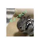 はいね（個別スタンプ：4）