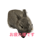 はいね（個別スタンプ：8）