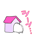 しろふわいぬ（個別スタンプ：21）