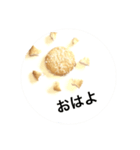 せんべいの人生（個別スタンプ：4）
