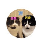 まんまるちょび（個別スタンプ：14）
