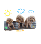 Happiness life of Bob Mei and Bibi（個別スタンプ：7）