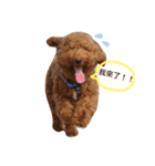Happiness life of Bob Mei and Bibi（個別スタンプ：11）