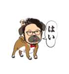 DAN29（個別スタンプ：26）