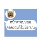 Thai Text for Single（個別スタンプ：28）