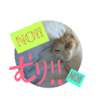 ペットたち…❣（個別スタンプ：3）