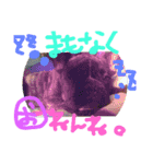 ペットたち…❣（個別スタンプ：5）