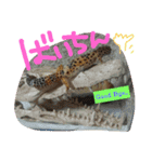 ペットたち…❣（個別スタンプ：14）
