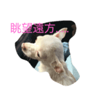 SandyLu（個別スタンプ：2）