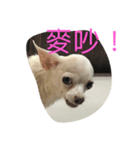 SandyLu（個別スタンプ：6）
