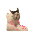 勝利のアイス（個別スタンプ：2）