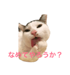 勝利のアイス（個別スタンプ：5）