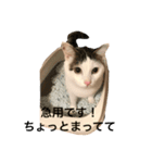 勝利のアイス（個別スタンプ：6）